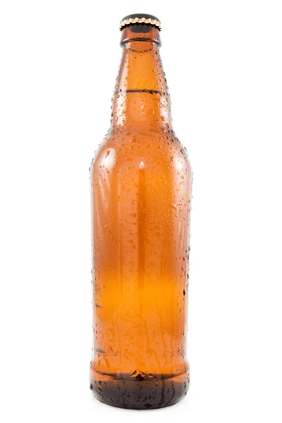 啤酒瓶 — 图库照片