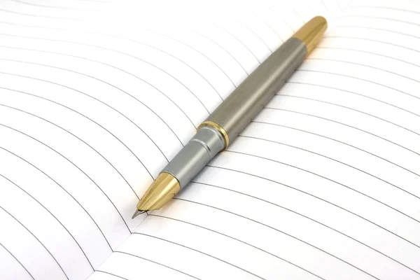 Çizgili kağıda tükenmez kalem — Stok fotoğraf