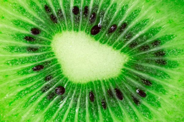 Kiwi fruit close-up — Stock Photo, Image