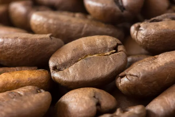 Hnědá kávová zrna — Stock fotografie