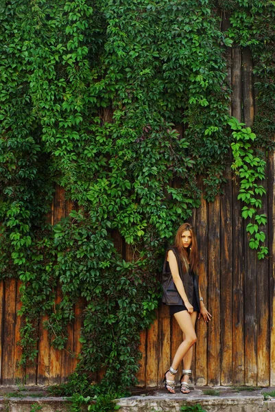 时尚拍摄的美女模特摆在葡萄园墙 — 图库照片
