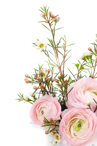 Bukett med rosa ranunculus — Stockfoto