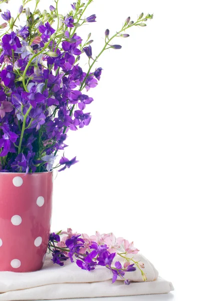 Paarse wilde bloemen — Stockfoto