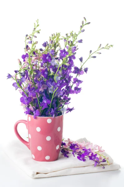 Fioletowe kwiaty dzikiego — Zdjęcie stockowe