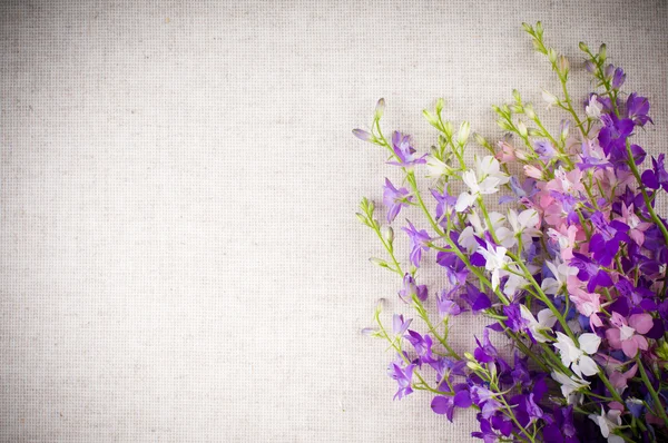 Sfondo con fiori — Foto Stock