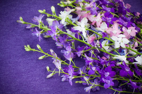 Background with purple flowers — Stock Photo, Image
