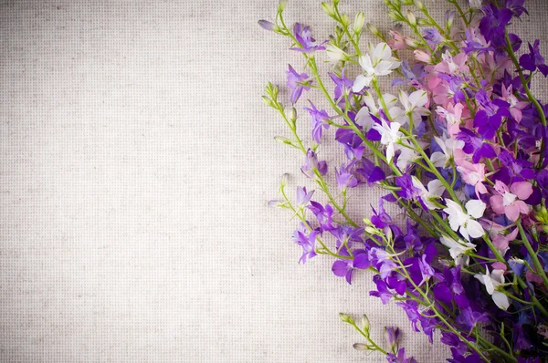 Bakgrund med blommor — Stockfoto