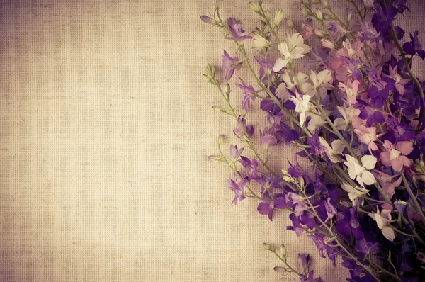 Фон с цветами — стоковое фото