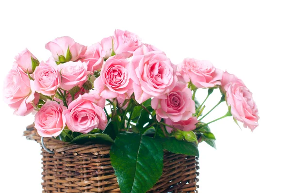 Närbild av en bukett med rosa rosor — Stockfoto