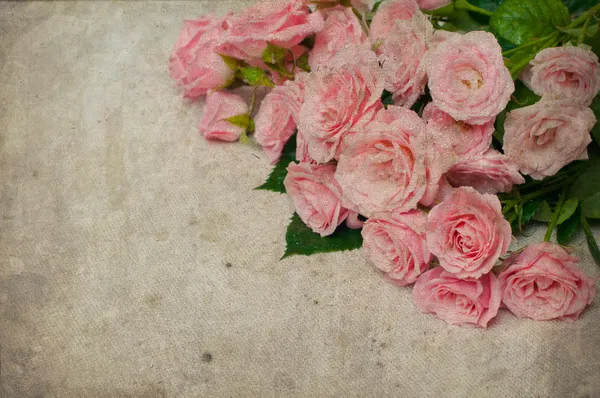 Tło vintage z różami — Zdjęcie stockowe