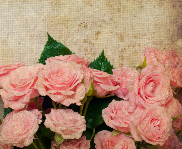 Vinobraní pozadí s růžemi — Stock fotografie