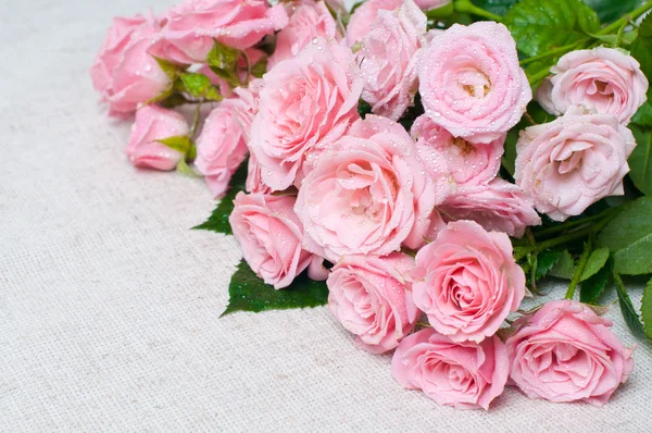 Mokre różowe róże na szary tkanina lniana — Zdjęcie stockowe