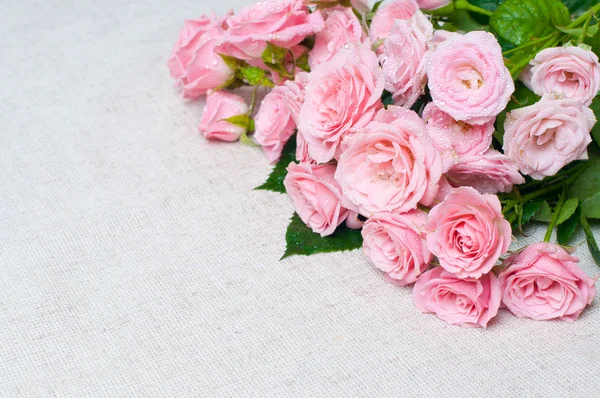 Roze rozen op een grijze linnen stof nat — Stockfoto