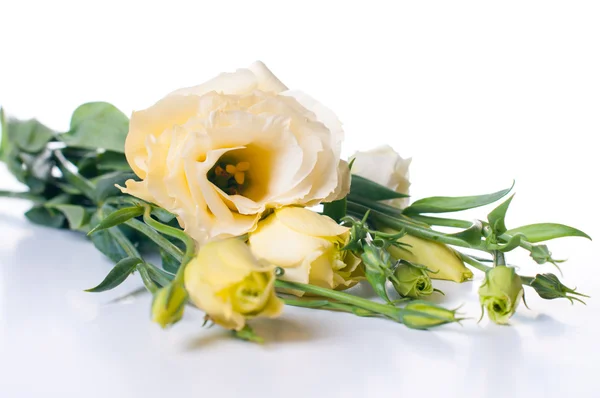 노란 eustoma 꽃의 꽃다발 — 스톡 사진