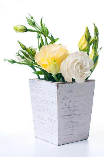 Flores amarillas en maceta blanca — Foto de Stock