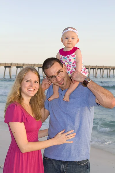A beach boldog család — Stock Fotó