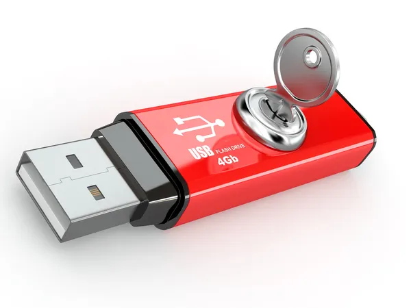 Seguridad de datos. Memoria flash USB y llave. 3d — Foto de Stock