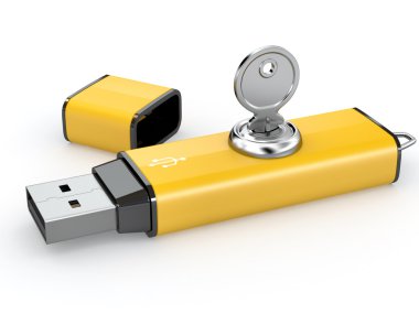 Data security. Usb flash memory and key. 3d clipart