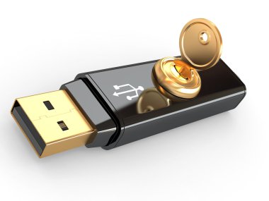 Data security. Usb flash memory and key. 3d clipart