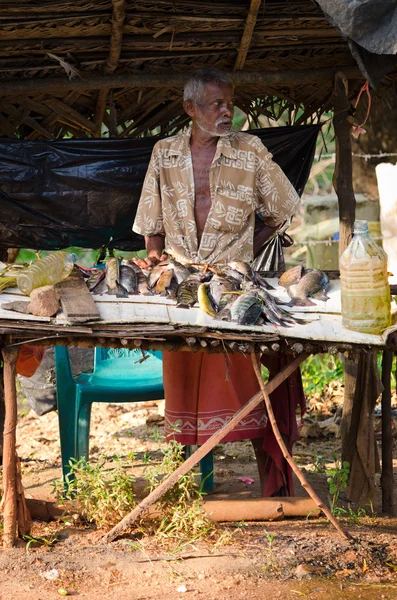 Mercado de peixe aberto tradicional do Sri Lanka — Fotografia de Stock