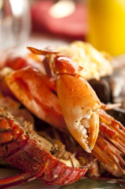 Dish with cooked crabs and lobsters clipart