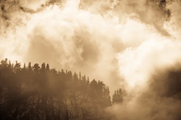 Mountain peak shrouded in clouds — Stock Photo, Image