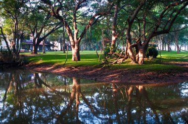 Mystical lake in morning park clipart