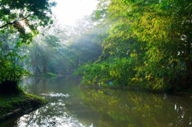 Mystical lake in morning forest clipart