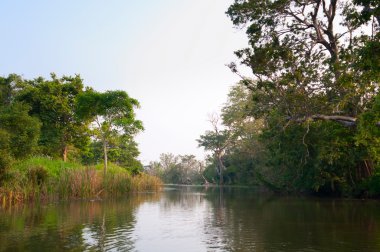 Mystical lake in tropical forest clipart