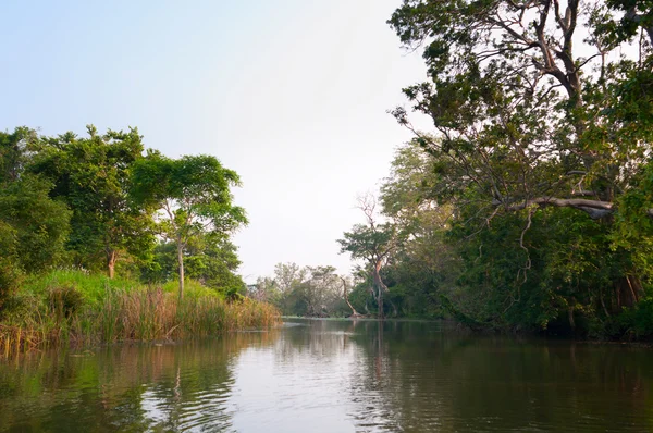 Lago mistico nella foresta tropicale — Foto Stock