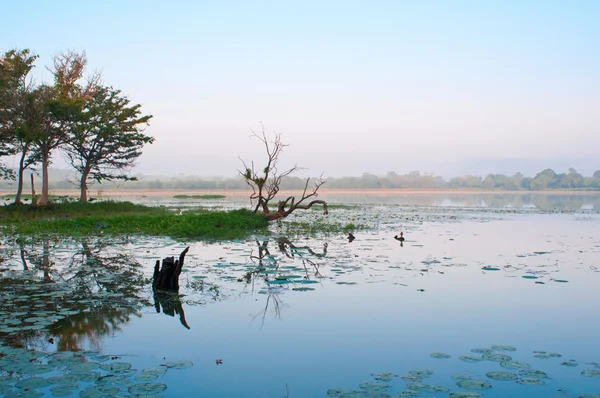Mystiska sjön i tropiskt klimat — Stockfoto