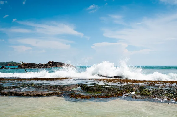 Hombre y bancoGüzel taşlar ve dalgalar halinde mercan — Stok fotoğraf
