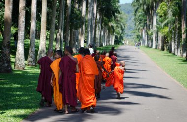 Budizm çocuk rahipler bir parkta