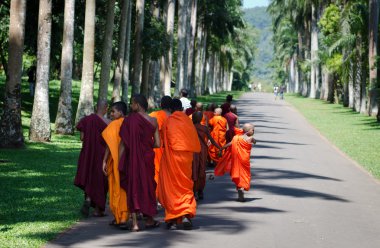 Buddhism children monks in a park clipart