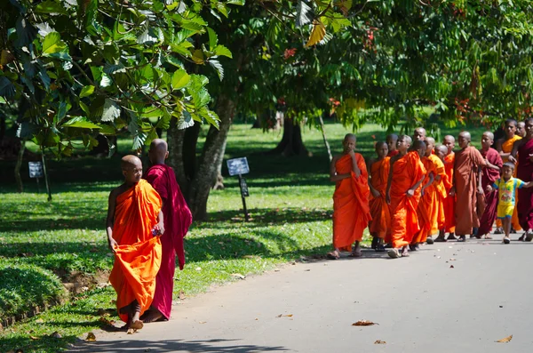 Budismo niños monjes en un parque —  Fotos de Stock