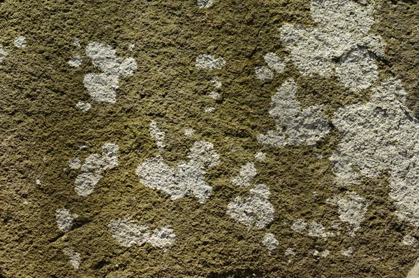 Płaski kamień stary tekstura tło — Zdjęcie stockowe