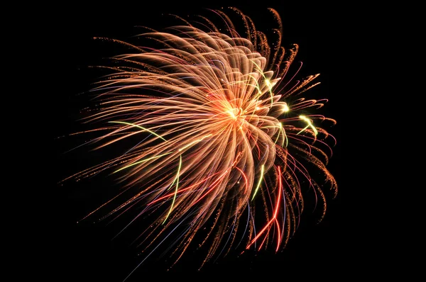 Stock image Firework