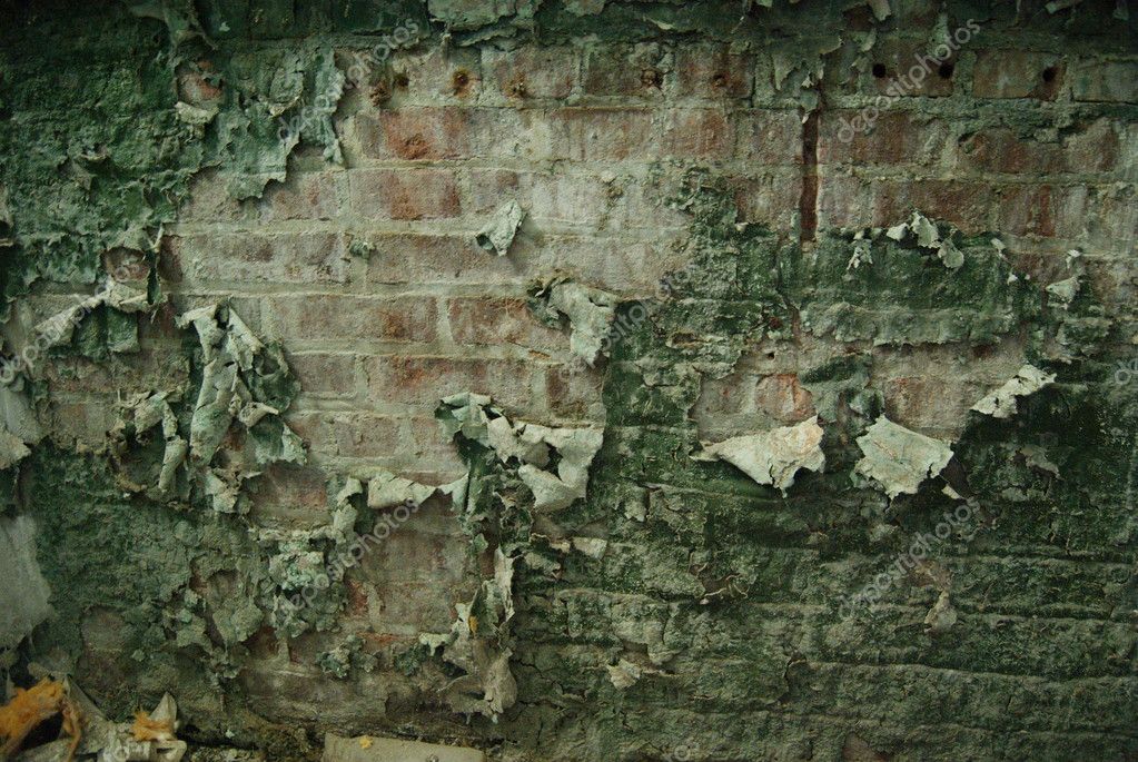 Old paint brick wall — Stock Photo © taukachou 9193561