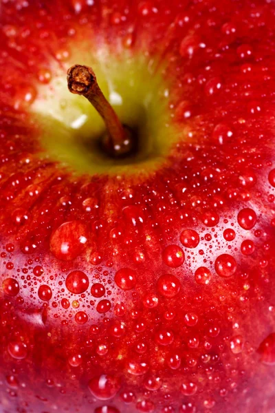 Pomme rouge macro juteuse — Photo