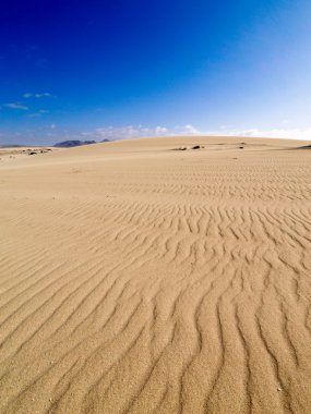 Dunes of Corralejo, Fuerteventura clipart