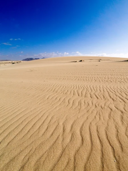 Dunes of Corralejo, Fuerteventura — Stock Photo, Image