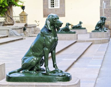 las palmas, gran canaria, Kanarya Adaları, İspanya katedral önünde köpekler