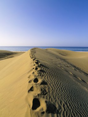 Maspalomas dunes, gran canaria, Kanarya Adaları, İspanya