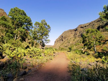 Barranco de guayadeque, vadide gran canaria, Kanarya Adaları, İspanya