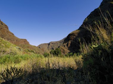 Barranco de guayadeque, vadide gran canaria, Kanarya Adaları, İspanya