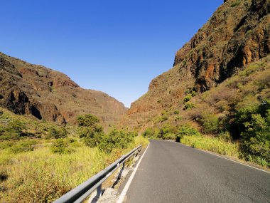 Barranco de guayadeque, vadide gran canaria, Kanarya Adaları, İspanya