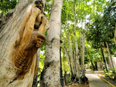 Lucky cin bir parkta arucas, gran canaria, Kanarya Adaları, İspanya