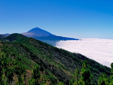 Tide Ulusal Parkı, Tenerife, Kanarya Adaları, İspanya