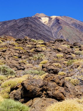 Tide Ulusal Parkı, Tenerife, Kanarya Adaları, İspanya