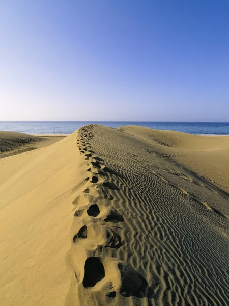 Maspalomas duinen, gran canaria, Canarische eilanden, Spanje — Stockfoto
